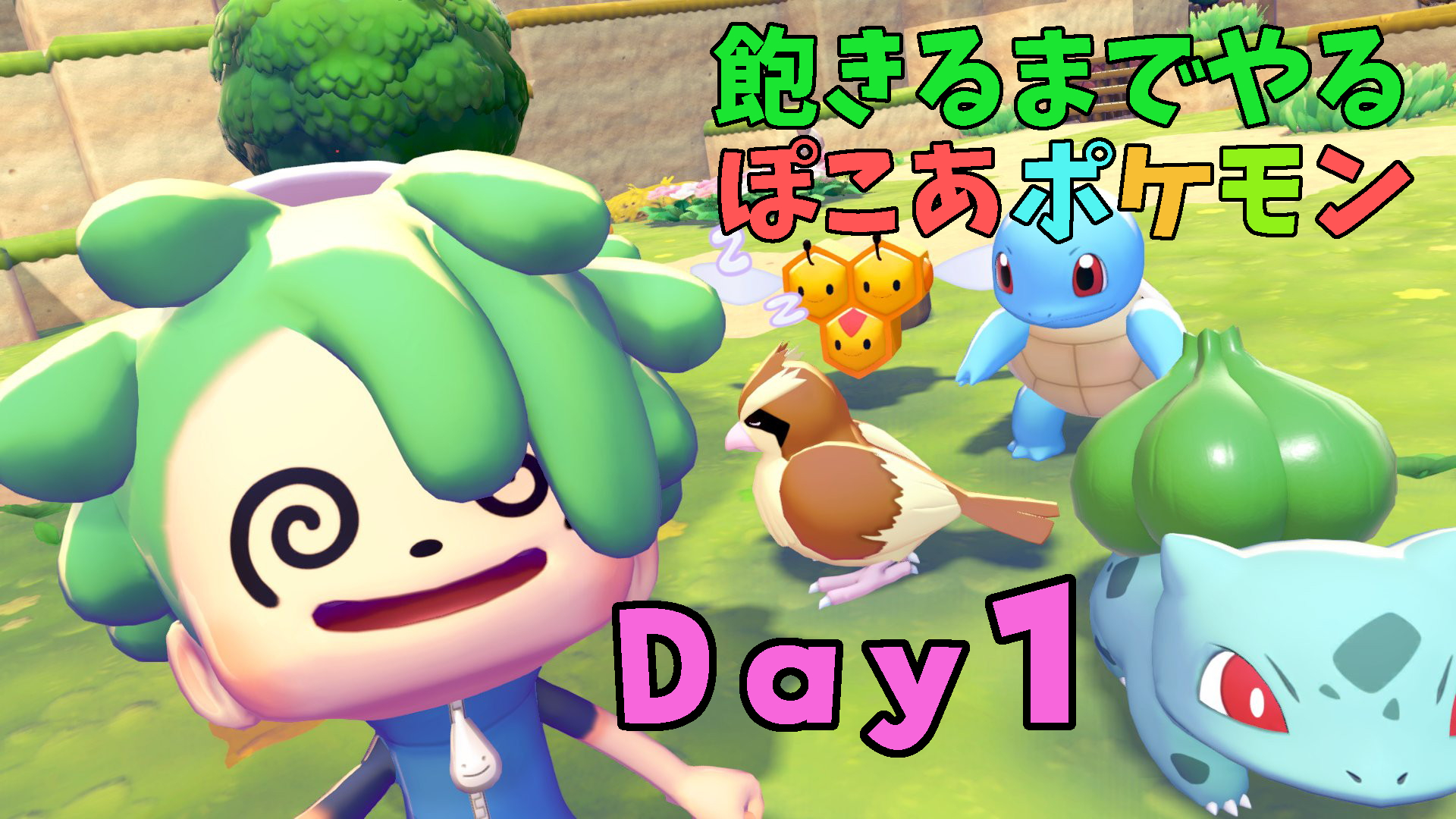 ぽこあポケモン飽きるまでプレイ日誌1日目｜ぽこあの意味？Poco a pocoだよ…しらんけど それよりメタモンの旗の置き方…