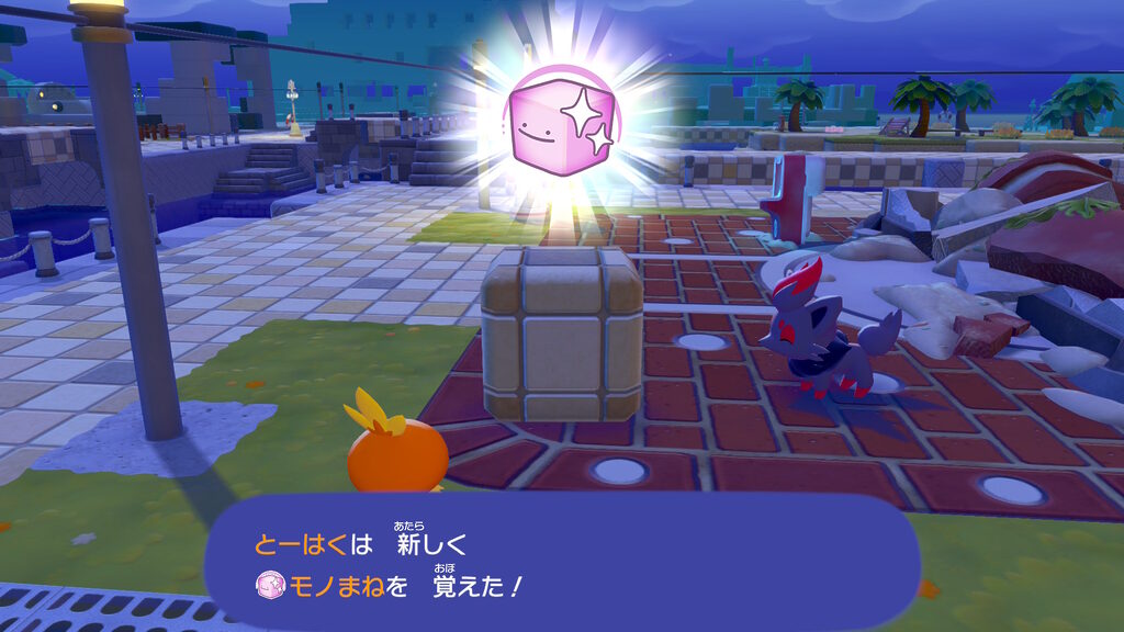 ぽこあポケモン：ゾロアからモノまねを伝授された、用途は不明